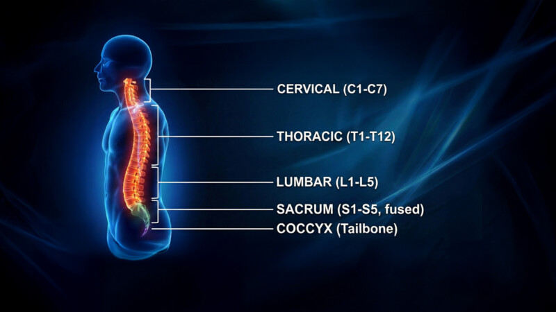 Automatic Dysreflexia (AD)
